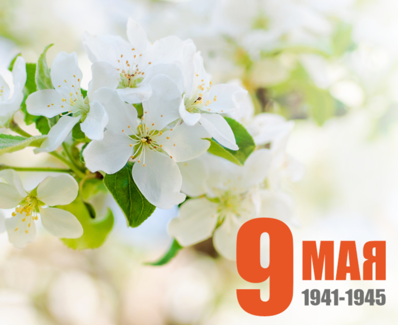 Поздравляем с годовщиной Победы в Великой Отечественной войне!