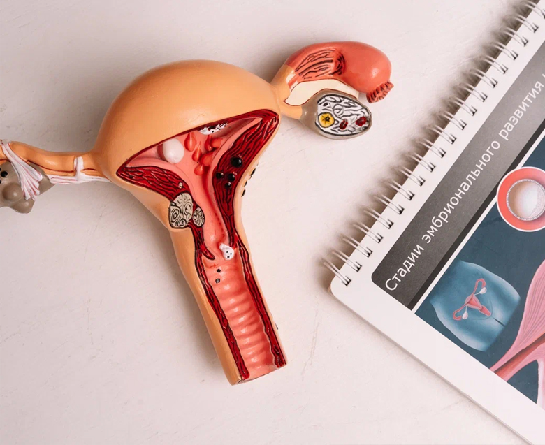 Биопсия шейки матки